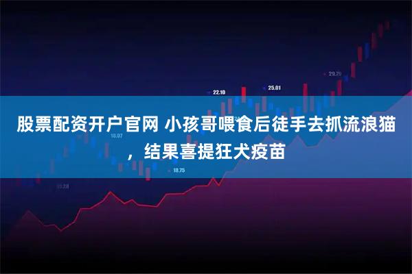 股票配资开户官网 小孩哥喂食后徒手去抓流浪猫，结果喜提狂犬疫苗