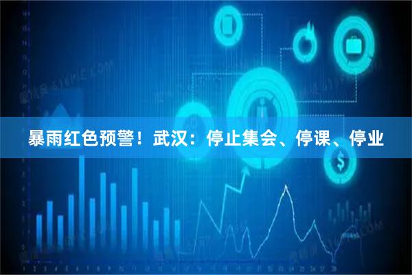 暴雨红色预警！武汉：停止集会、停课、停业