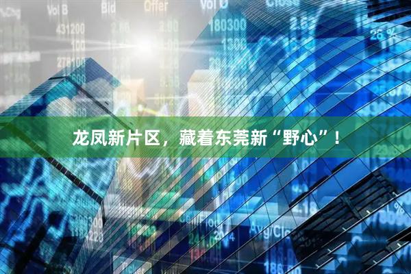龙凤新片区，藏着东莞新“野心”！