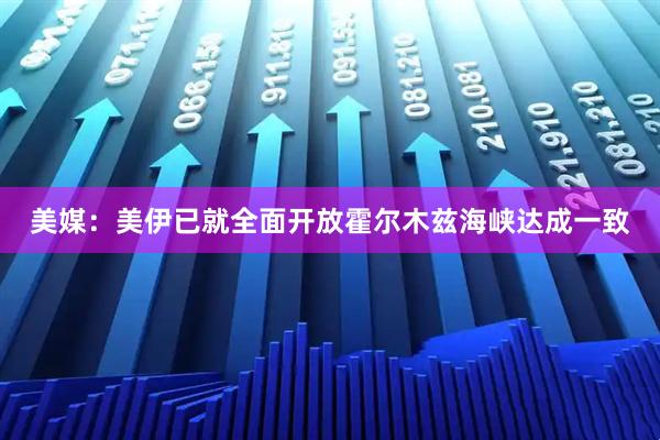 美媒：美伊已就全面开放霍尔木兹海峡达成一致